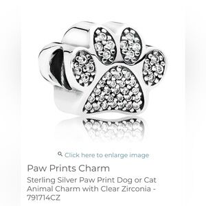 Sterling Silver Paw Print Dog or Cat Animal Charm with Clear Zirconia - 791714CZ